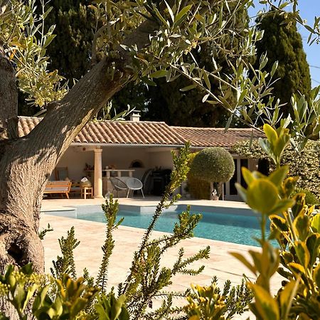 Mas Des Bambous Hotel Saint-Rémy-de-Provence Buitenkant foto