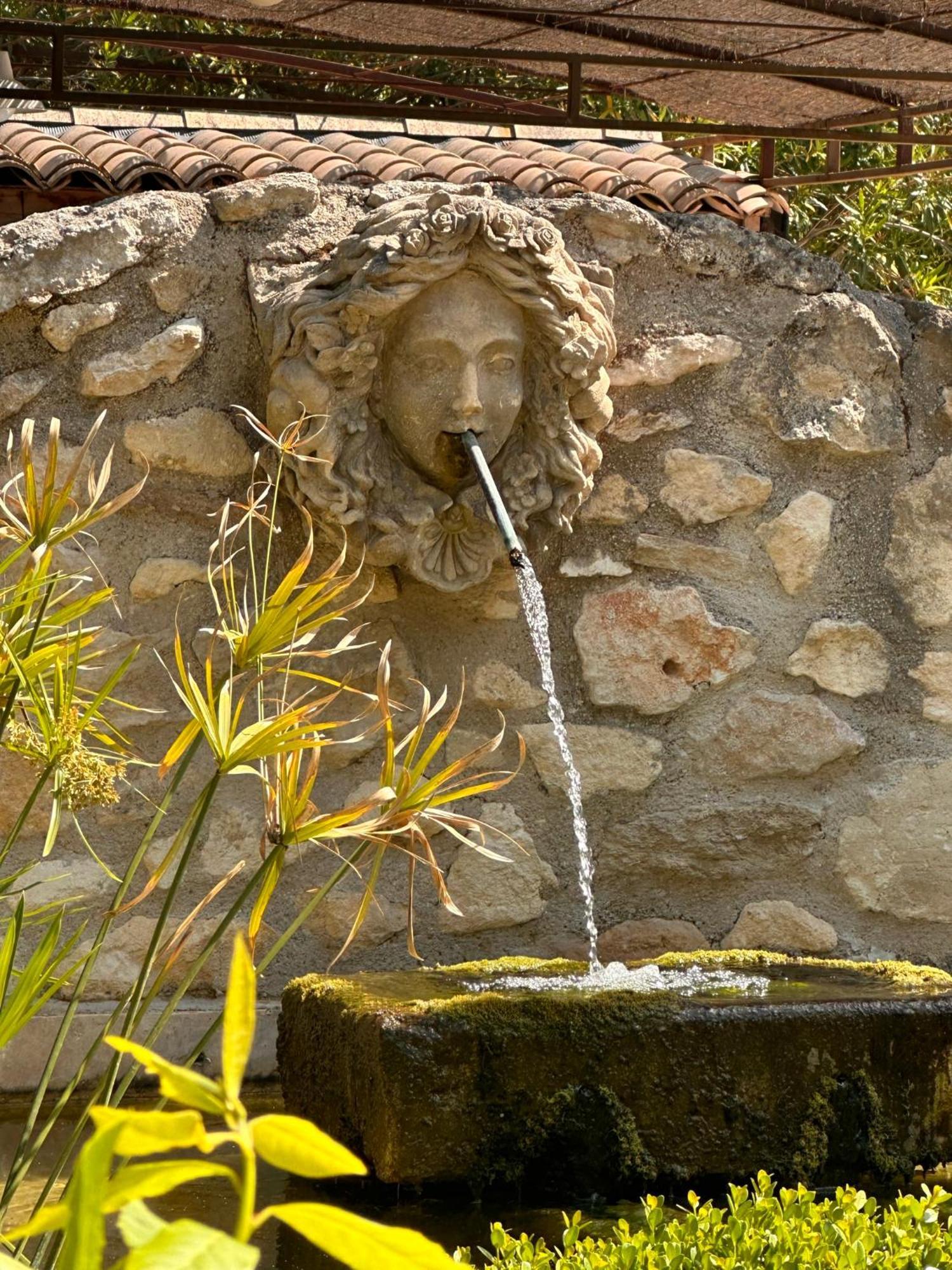 Mas Des Bambous Hotel Saint-Rémy-de-Provence Buitenkant foto